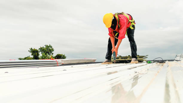 Best Storm Damage Roof Repair  in Congress, AZ